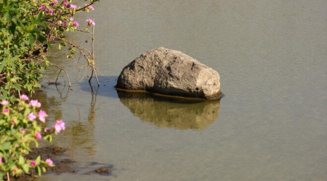 découvrez notre comparatif entre la porsche 911 targa 4s et le macan gts pour vous aider à choisir la voiture de luxe idéale selon vos envies et besoins.